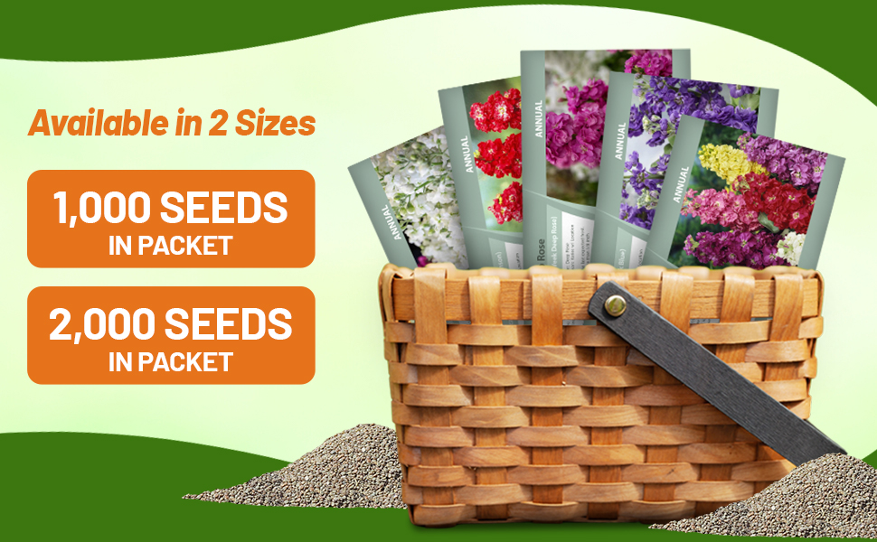 Matthiola Stock Ten Week Flower Seed Packets