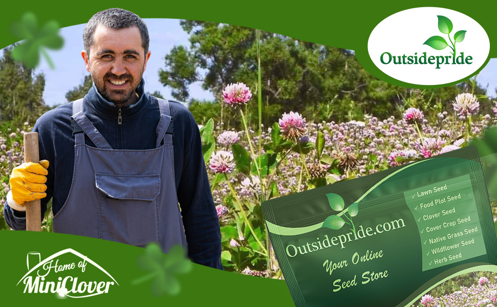 Man In Alsike Clover Field With Bulk Seed Bag For Planting