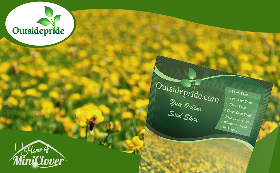 Field of Yellow Flowering Birdsfoot Trefoil