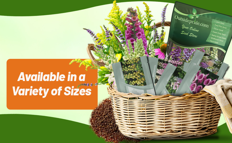 Digitalis Foxglove Seed Packets and Bag For Planting