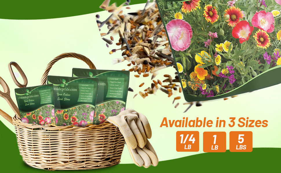 Southwest Wildflower Seed Mixture Seed Bags For Planting