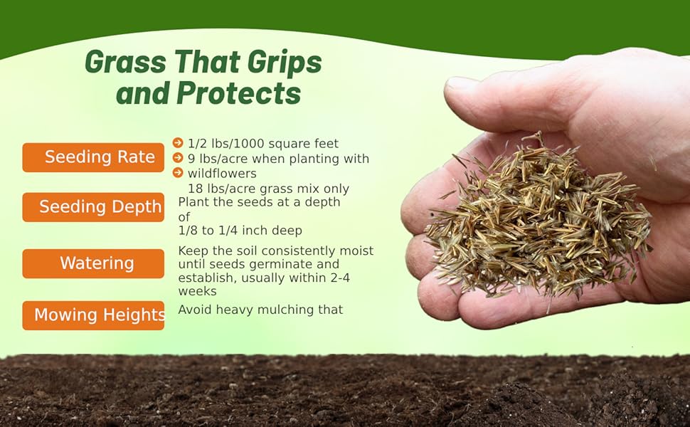 Southeast Native Prairie Grass Seed Planting Directions
