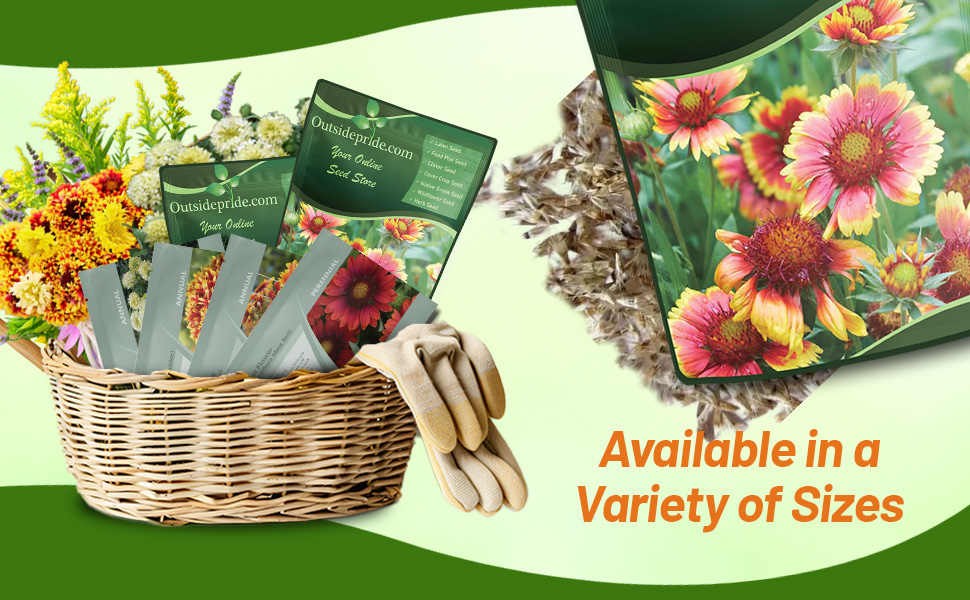 Gaillardia Aristata Blanket Flower Seed Bags For Planting