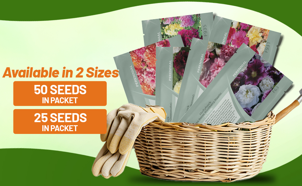 Hollyhock Flower Seed Mixture Packets