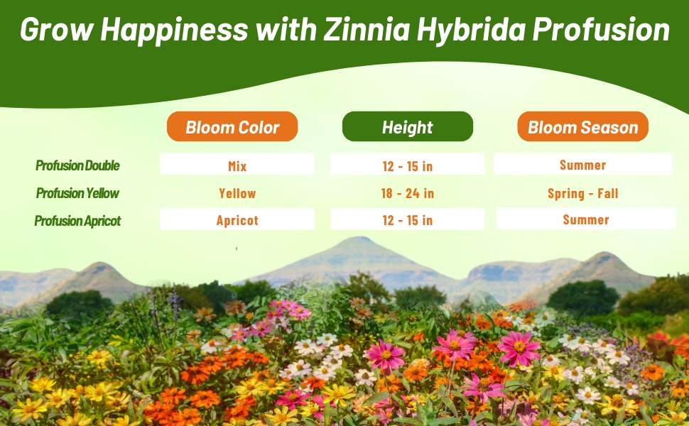 Zinnia Hybrida Profusion Bloom Season, Height, & Color Chart