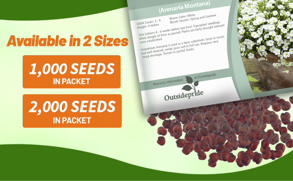 Arenaria Seed Packet