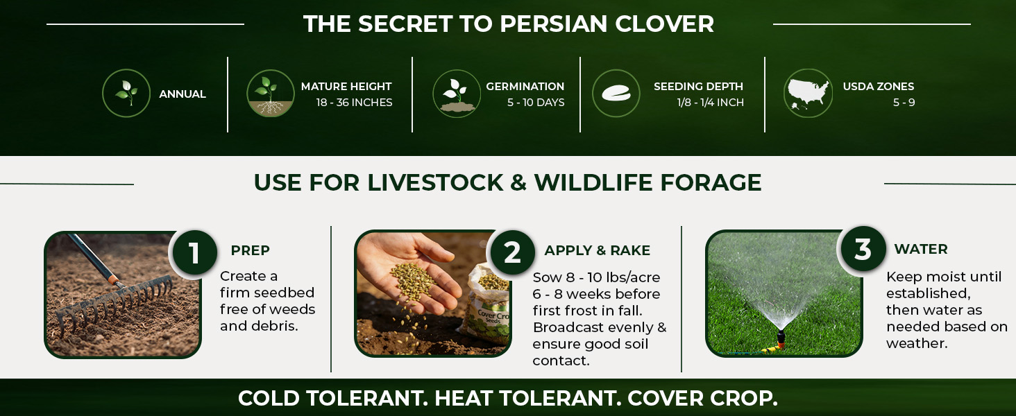 Persian Clover Planting Directions