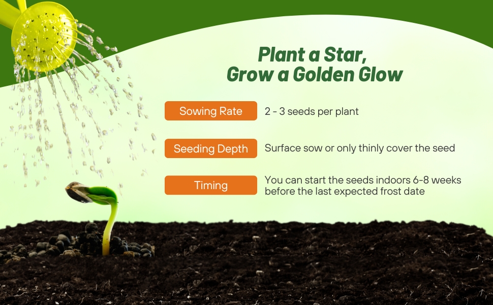 Seeding Rate & Depth For Planting Bur Marigold Seed