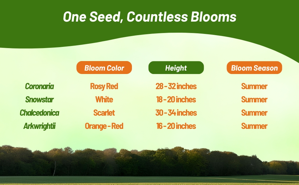 Bloom Season, Color, & Height Chart of Lychnis Plants