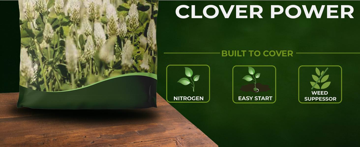 White Cloud Crimson Clover Bulk Seeds