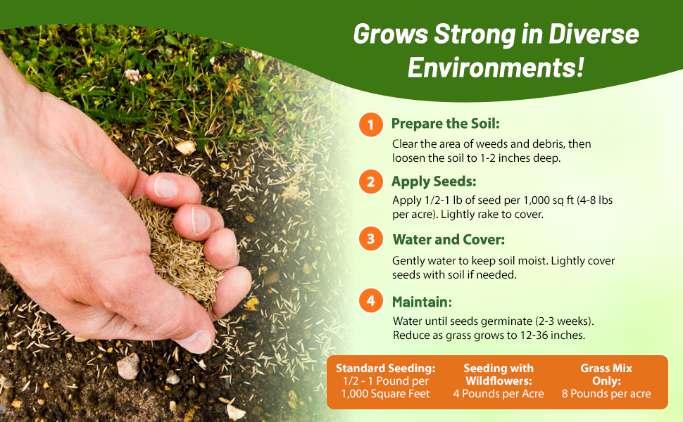 SW Native Grass Seeds For Erosion Control