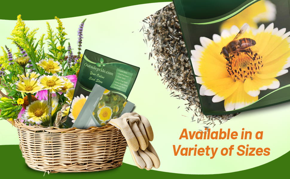 Tidy Tips Seed Packets For Planting Wildflower Meadows