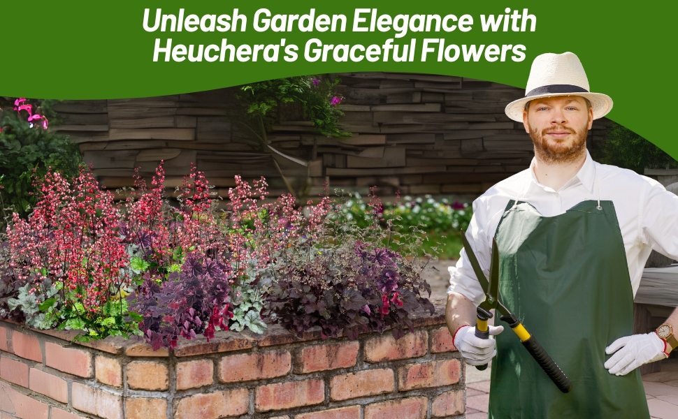 Heuchera Coral Bells Plants in Brick Flower Garden