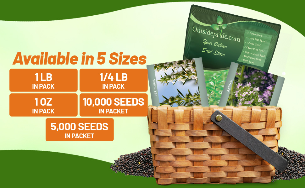 Winter & Summer Savory Herb Packets For Sale