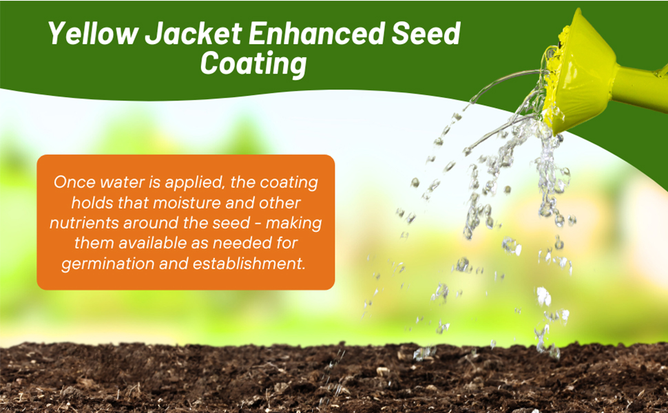 Coated Monaco Bermuda Grass Seed For Easy Establishment