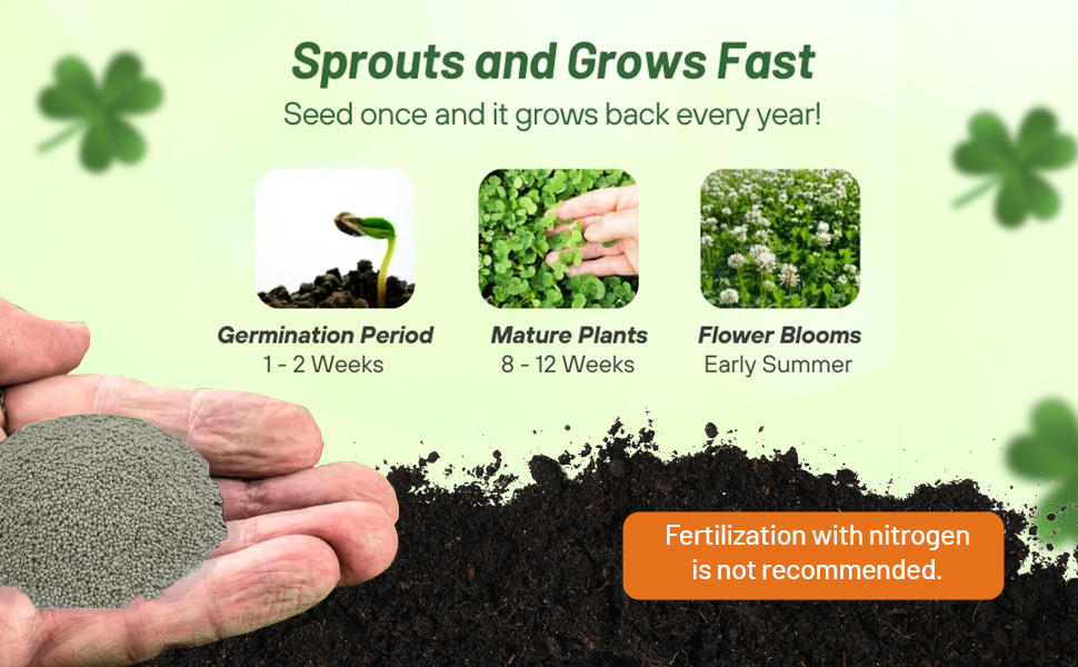 Ladino Sprouts & Grows Fast With Coated Inoculant