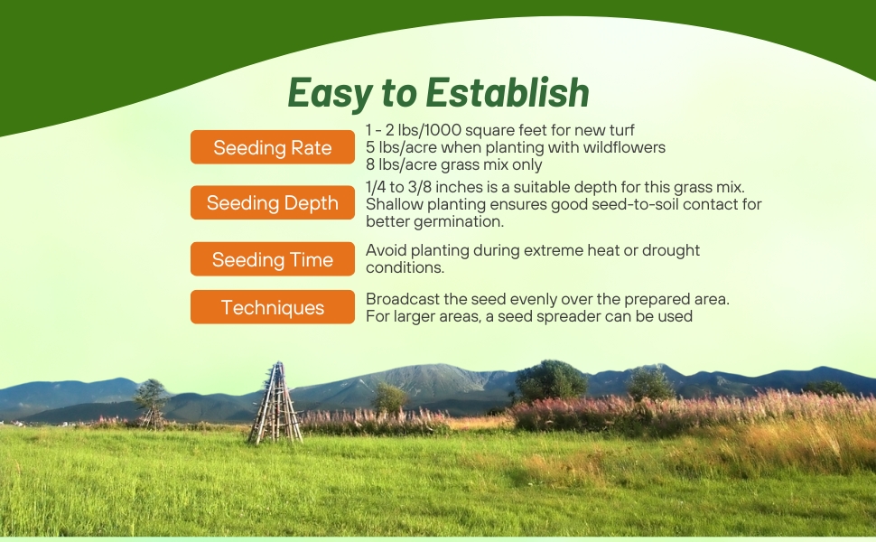 Seeding Rate & Planting Time For Dwarf Native Grass Seeds
