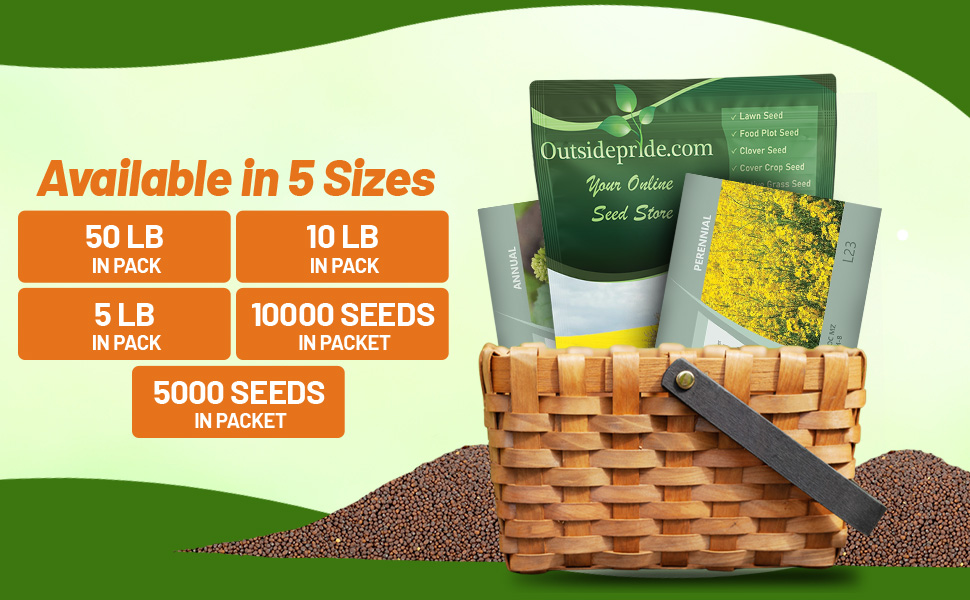 Mustard Seed Packets For Sale and Bulk Bag