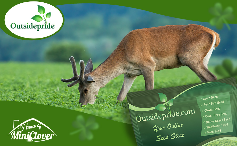 Clover King Deer Food Plot Seed Mix