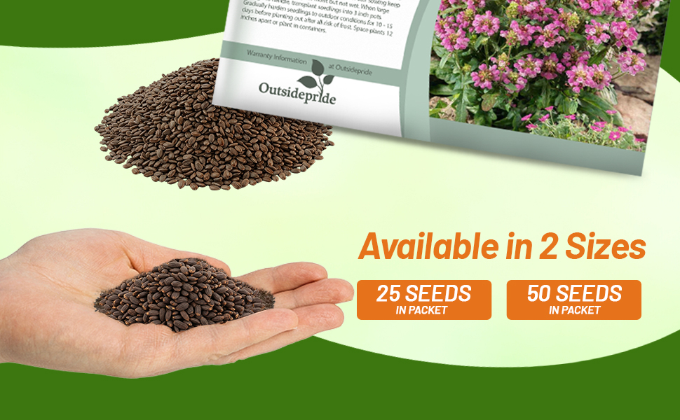 Prunella Rose Seed Packets For Sale