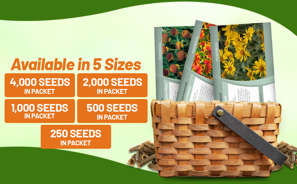 Helenium Flower Seed Packets For Planting