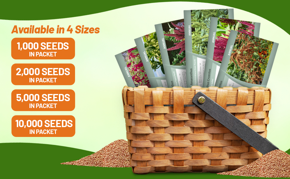 Amaranthus Seed Packets For Sale