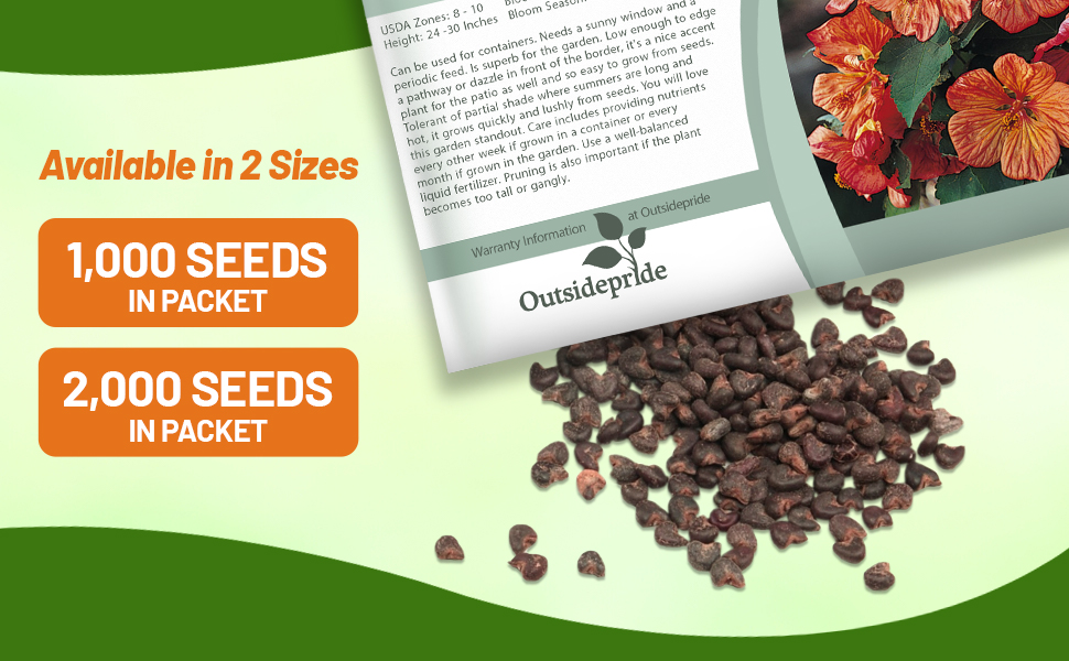 Abutilon Parlor Maple Flower Seed Packet For Sale