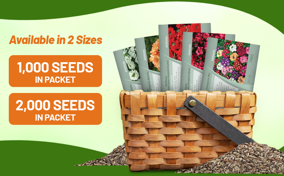 Verbena Compacta Seed Packets For Planting