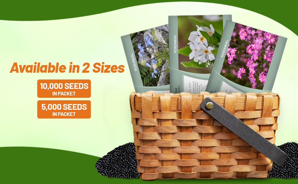 Myosotis alpestris Forget Me Not Seed Packets For Planting