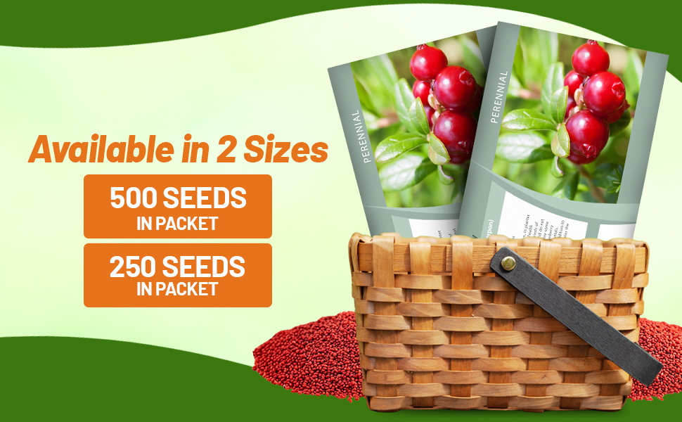  Cranberry Fruit Seed Packets For Planting
