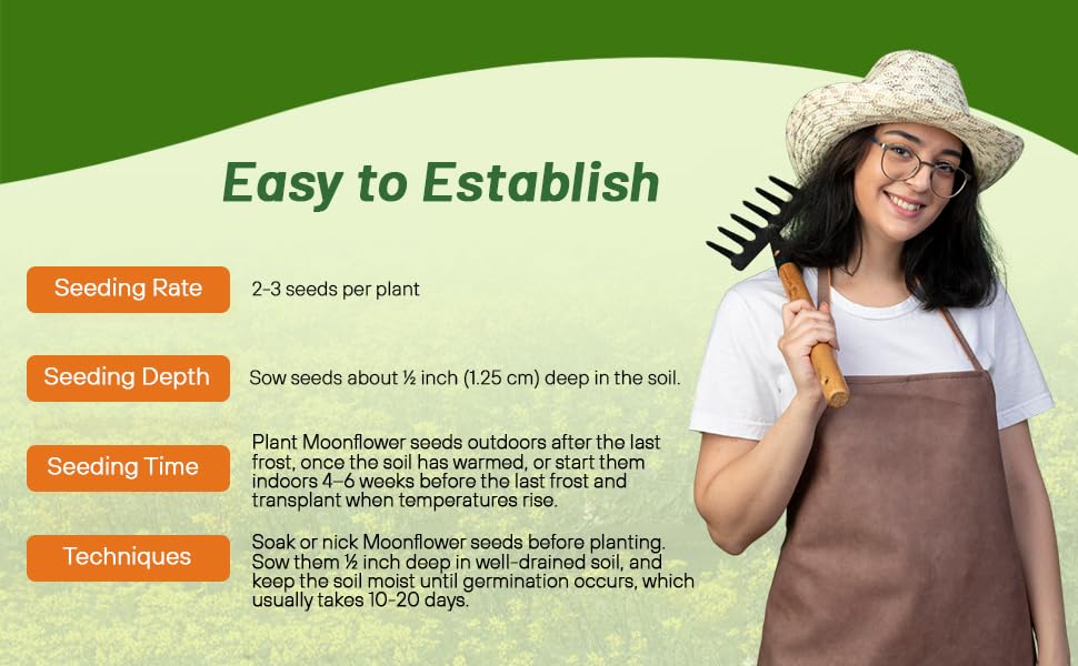 Planting Directions For Ipomoea Alba Moonflower Vines