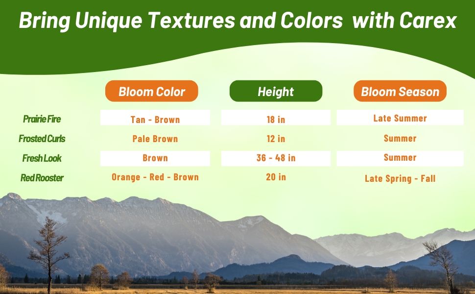 Carex Bloom Season, Color, & Height Chart For Seeded Varieties