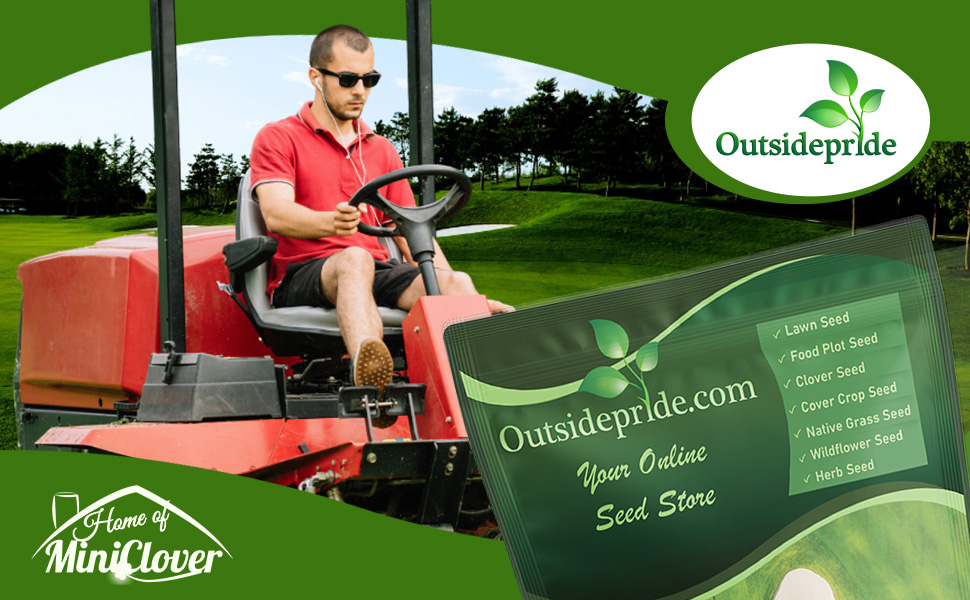 Crystal Bluelinks Creeping Bentgrass Seed