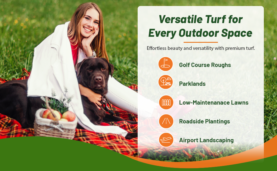 Buffalo Lawn Grass Seed For Hot, Full Sun Low Maintenance Areas