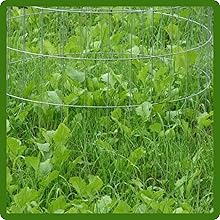 Low Maintenance Sweet Spot Food Plot Seed