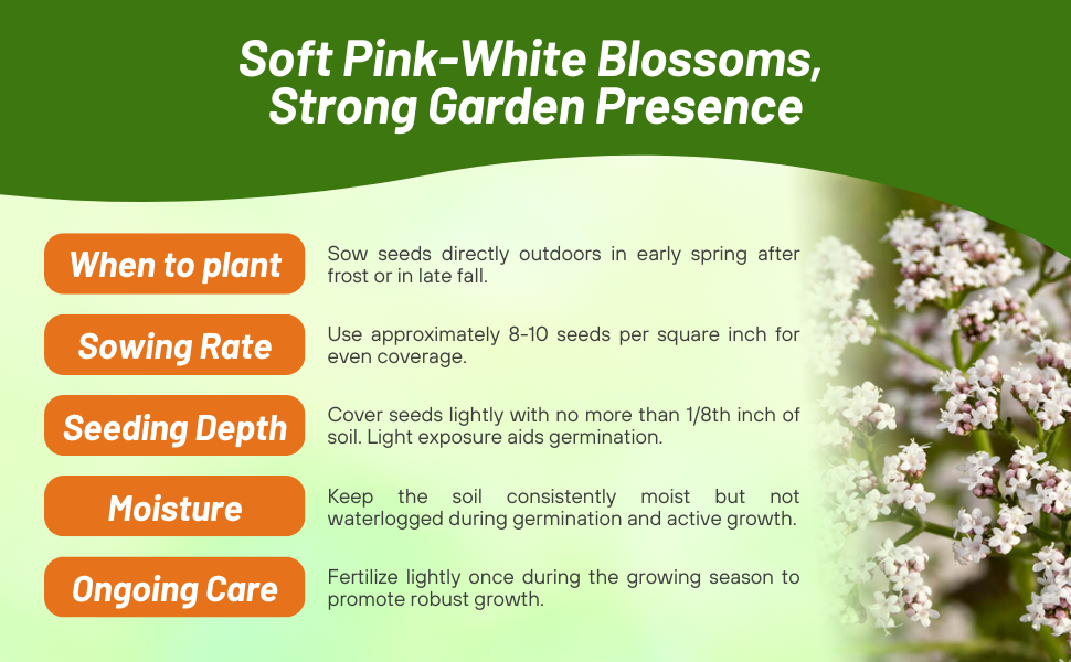 Planting Directions & Seeding Rate For Valerian Herbs