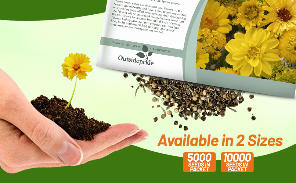 Yellow Wildflower Seed Packets For Planting