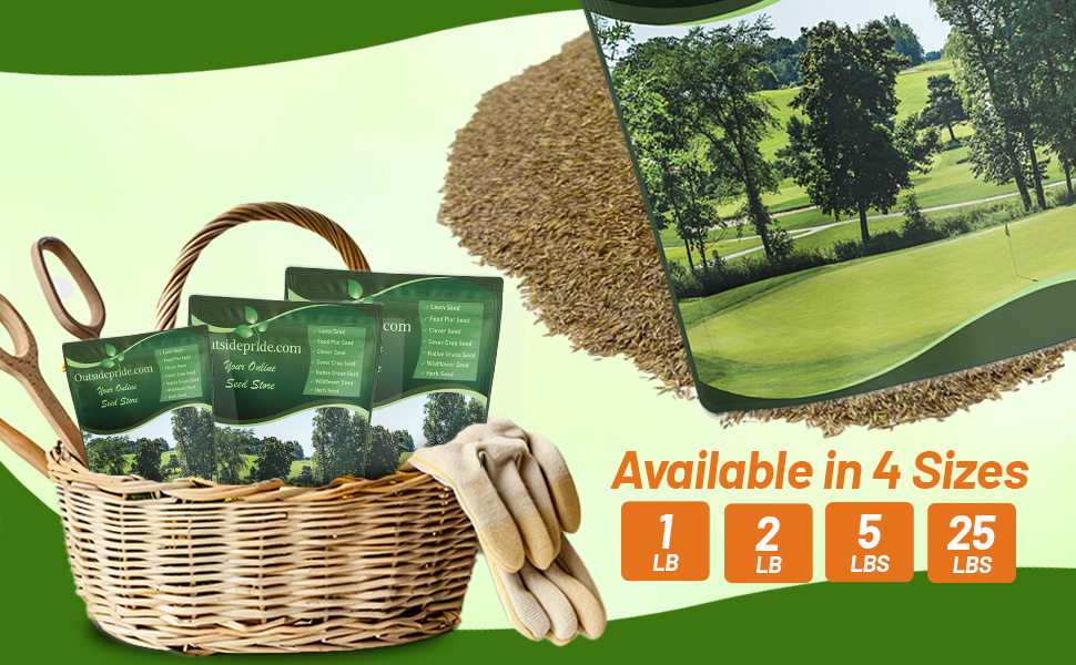Penncross PC2.0 Creeping Bent Grass Putting Green Seed