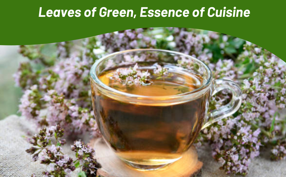 Sweet Majoram Culinary Uses and Teas