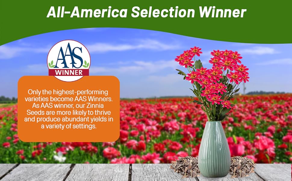 All American Selection Winner Zinnia Profusion Double Hot Cherry