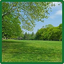 SPF-30 Hybrid Bluegrass Seed For Full Sun & Partial Shade