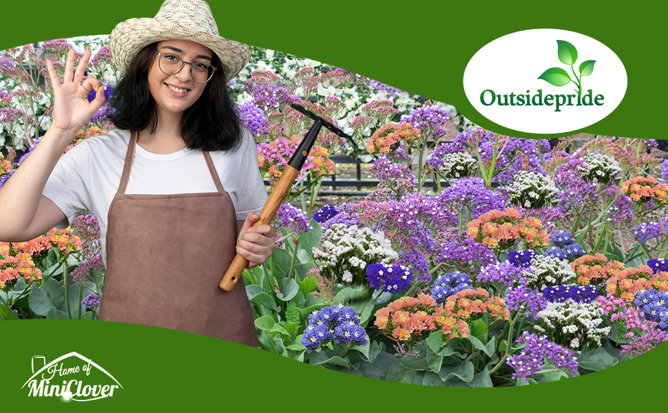 Statice Flower Garden Mixture