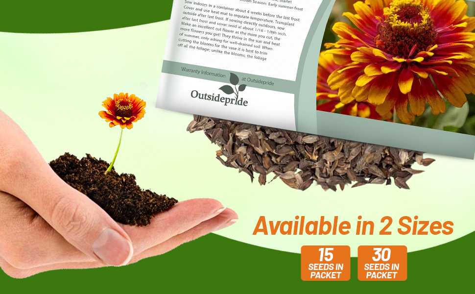Zinnia Zowie Yellow Flame Flower Seed Packets For Planting Indoors or Outdoors