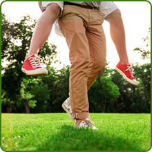 Soft Maya Bermuda Grass Seed