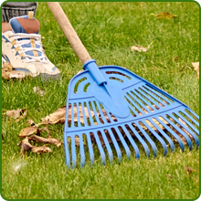 Low Maintenance Southwest Native Grass Seed Mixture