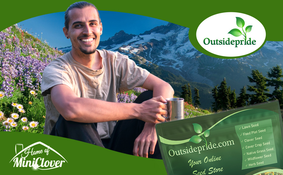 Man Sitting on Mountain With Mountain Wildflowers In Background