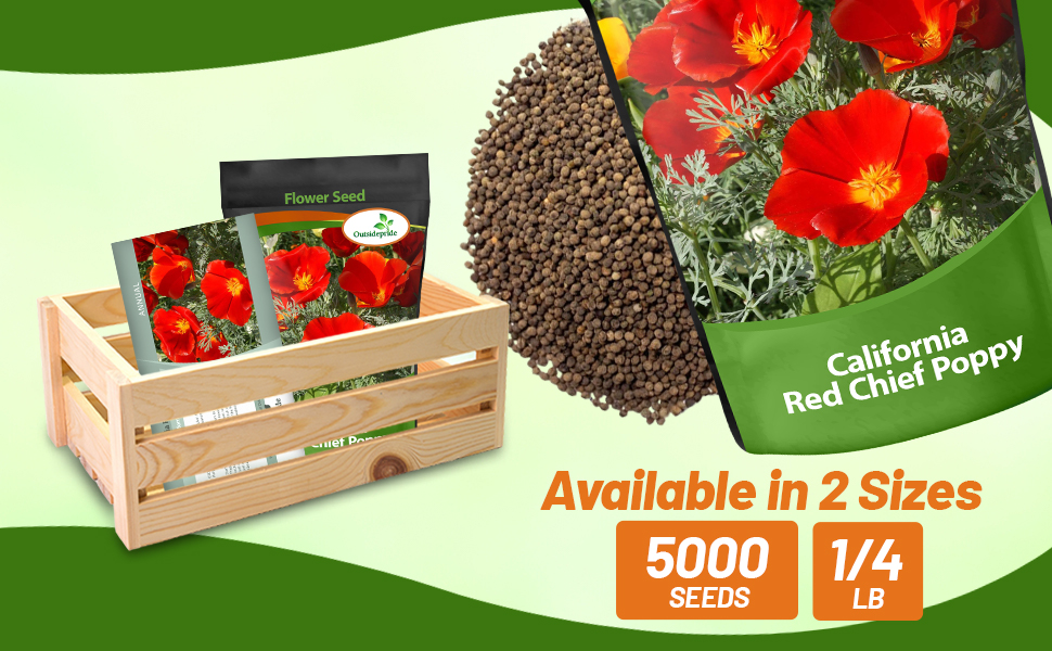 Bulk California Poppy Red Wildflowers For Planting