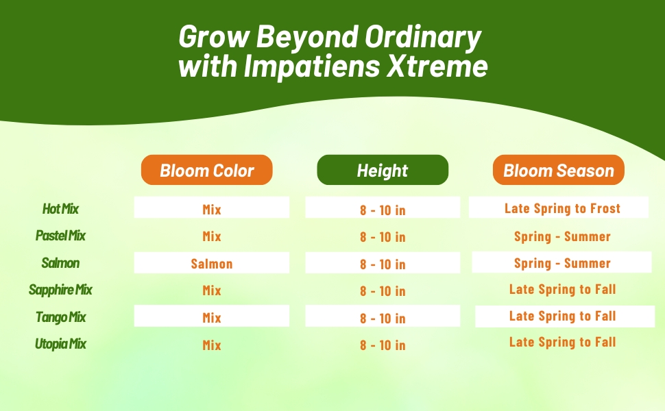 Bloom Season, Color, & Height Chart of Impatiens Xtreme Flowers