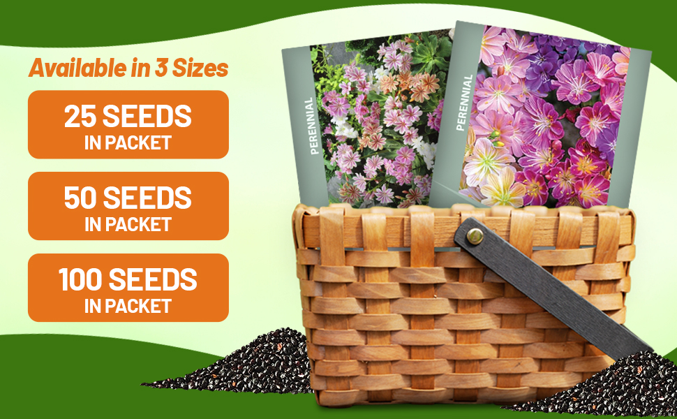 Lewisia Flower Seed Packets For Planting