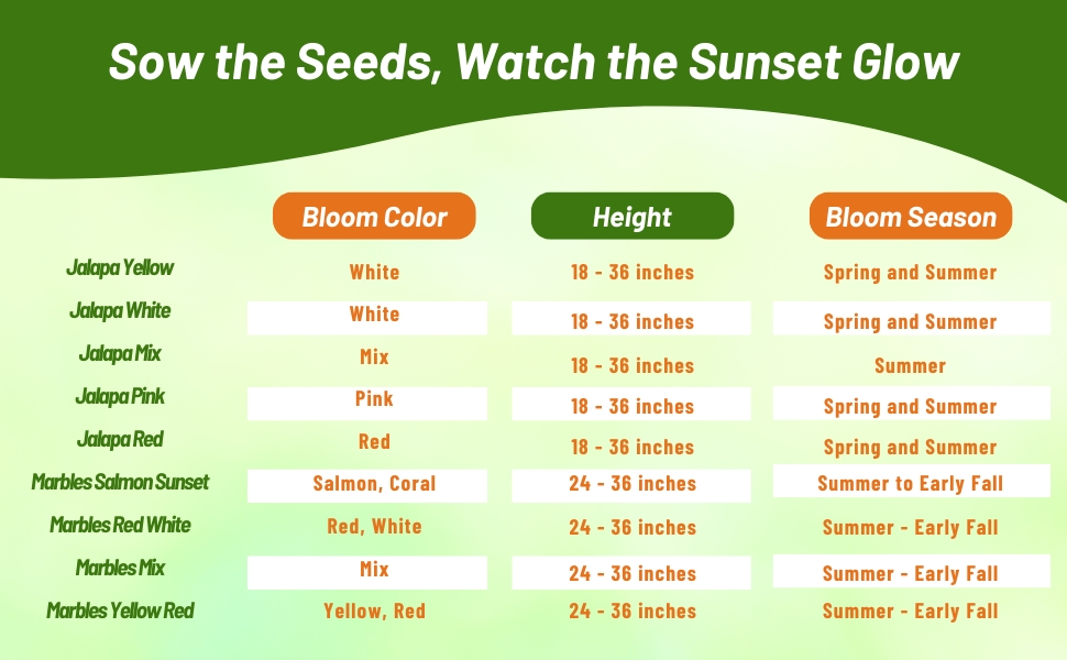 Bloom Season, Height, & Color Chart of Mirabalis Jalapa Four O' Clock